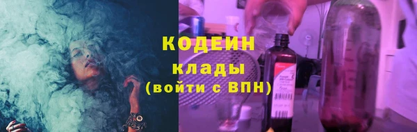 прущая мука Вяземский