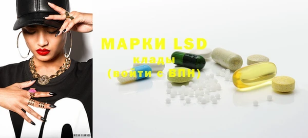 прущая мука Вяземский