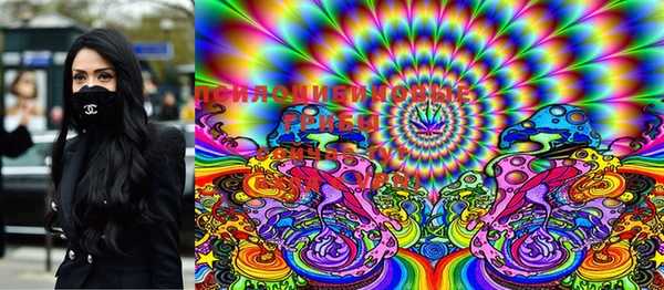 прущая мука Вяземский