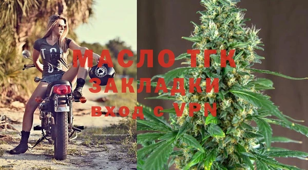 прущая мука Вяземский