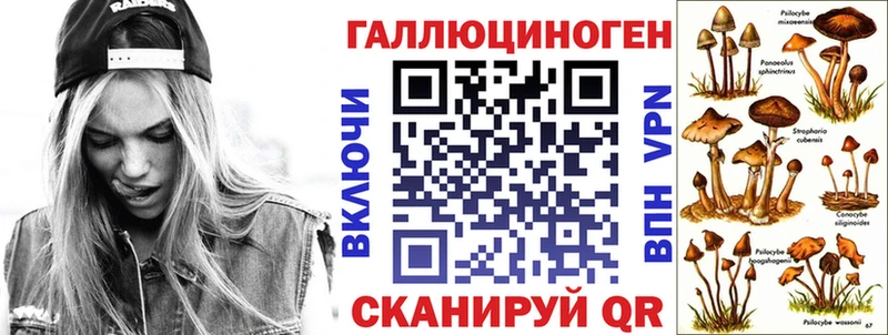 Псилоцибиновые грибы GOLDEN TEACHER  Карабулак 